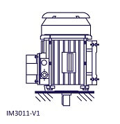 V1 Flange Mounted Motor Code & Position